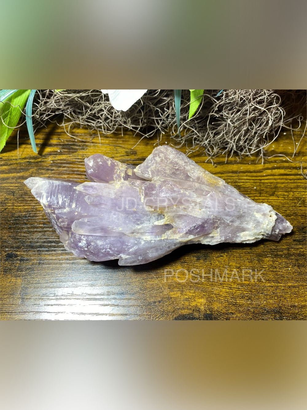 9” Raw Amethyst Root